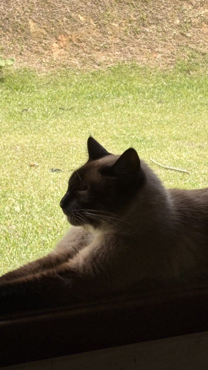 gigi ₊˚⊹ᰔ tweet media