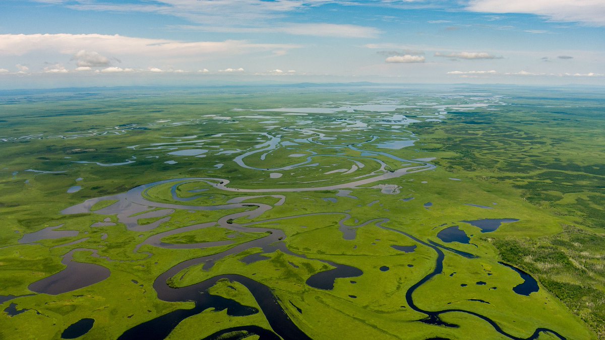 Embaixada da Rússia tweet media