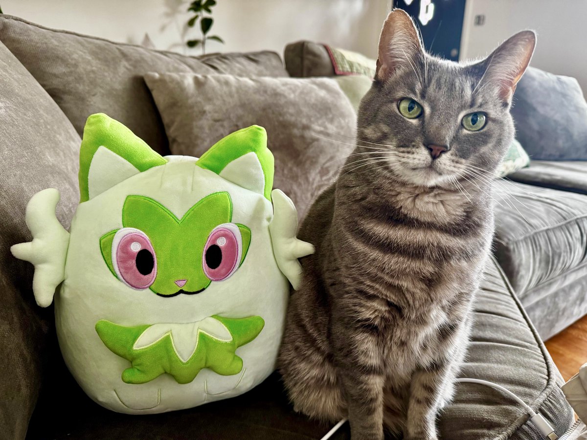 Conor | FBC tweet media