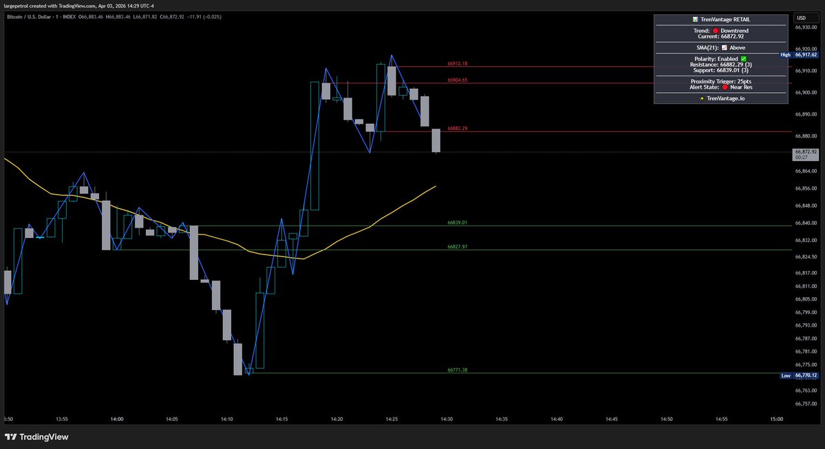 Large Petrol tweet media