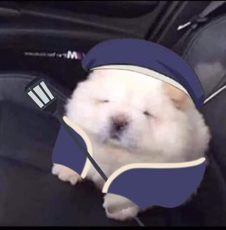 Manato, meu marido. tweet media