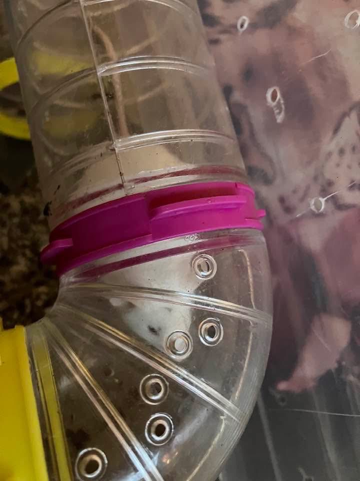 Annemarie tweet media