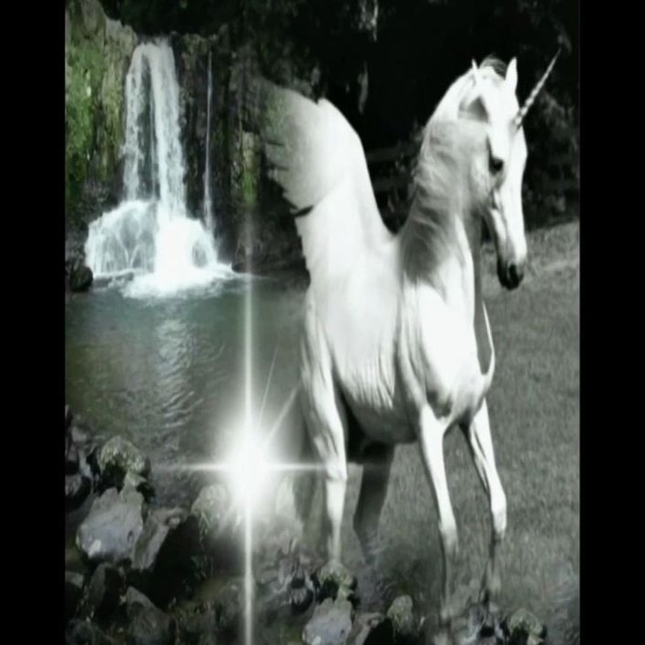 𝓜𝑒𝑟𝑎 ⚢ 🗝 | edtwt tweet media