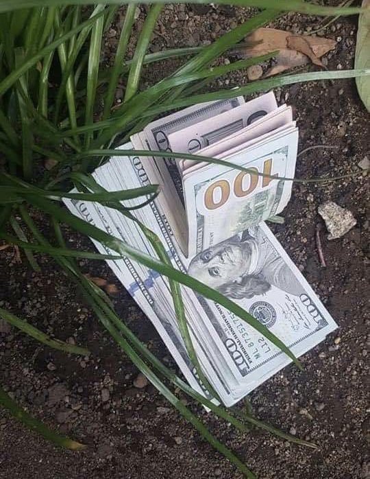 Law Of Attraction Coach tweet media