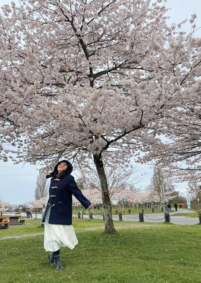 超好的 tweet media