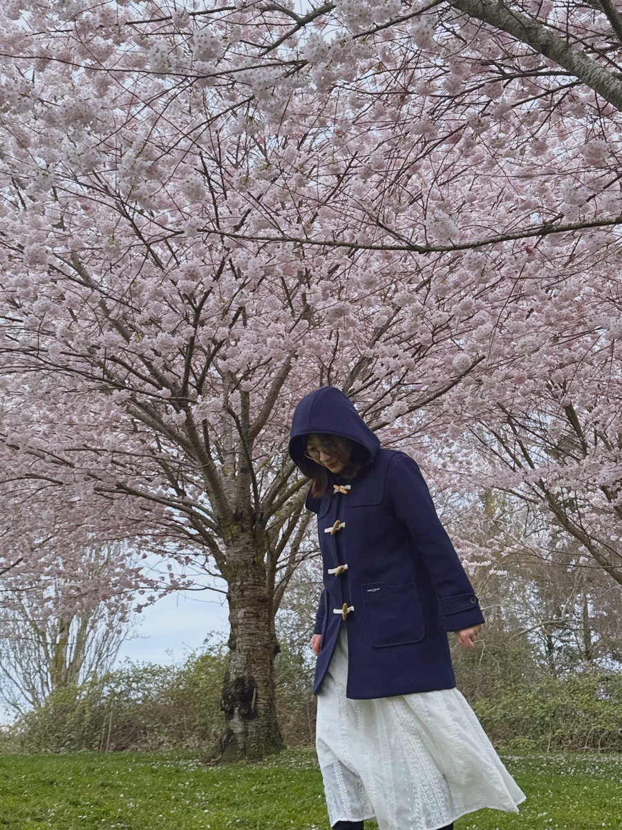 超好的 tweet media