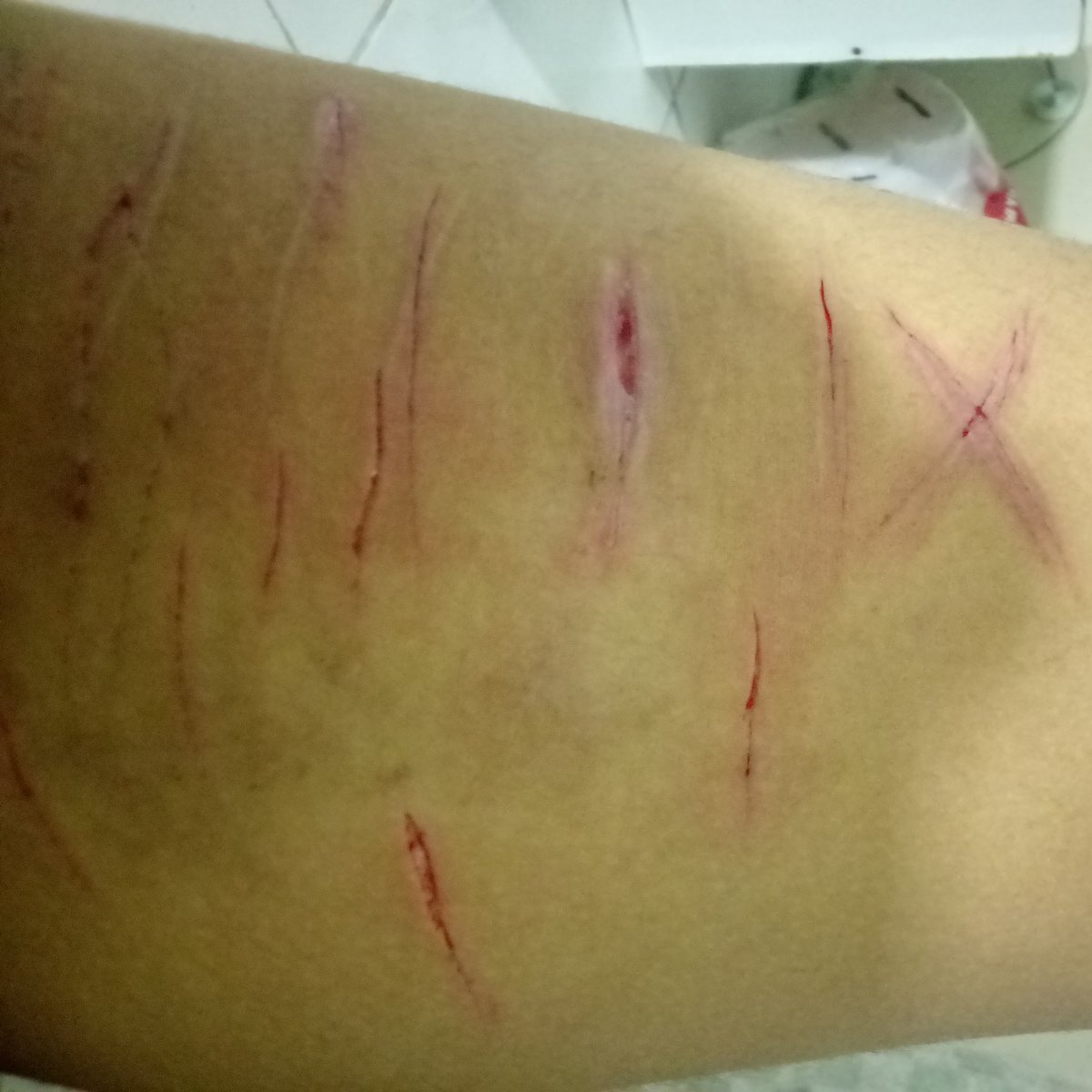 Lιᴢᴢιᥱ.ᐟ¡🧁ShᥱᏧtωtᵐᵉᵒʷˎˊ˗ tweet media