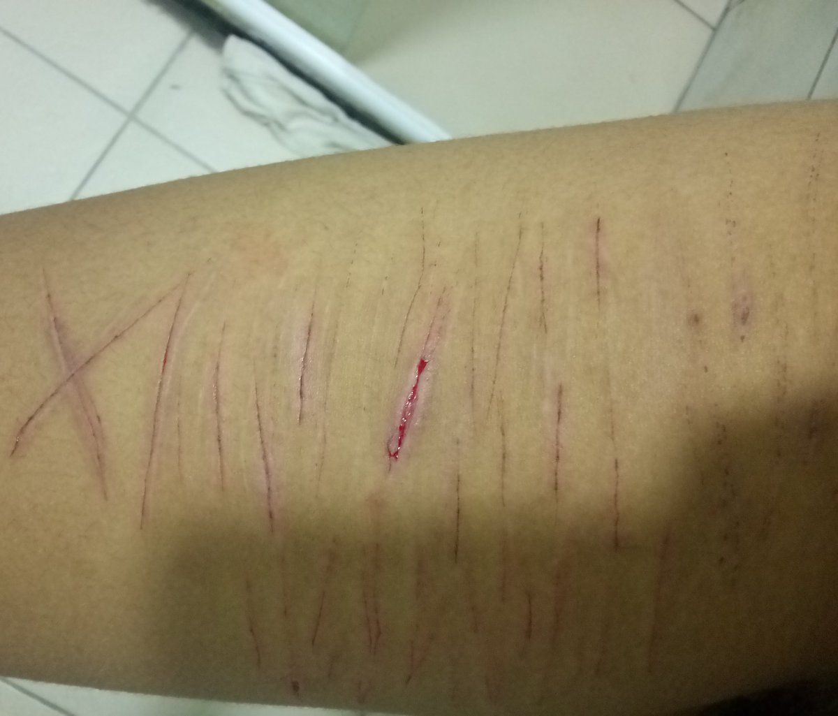 Lιᴢᴢιᥱ.ᐟ¡🧁ShᥱᏧtωtᵐᵉᵒʷˎˊ˗ tweet media