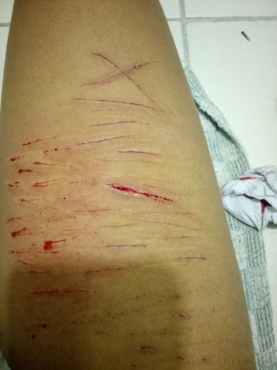 Lιᴢᴢιᥱ.ᐟ¡🧁ShᥱᏧtωtᵐᵉᵒʷˎˊ˗ tweet media