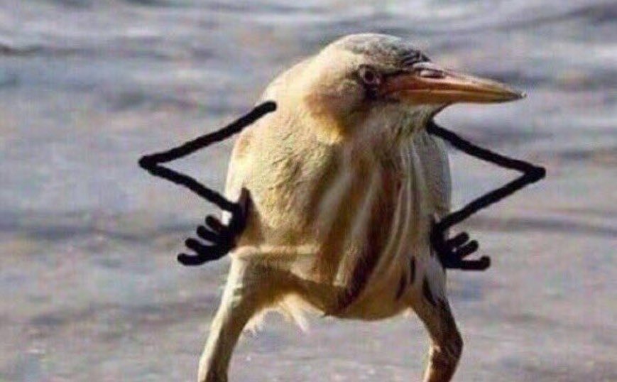 Джыпсінкоў tweet media