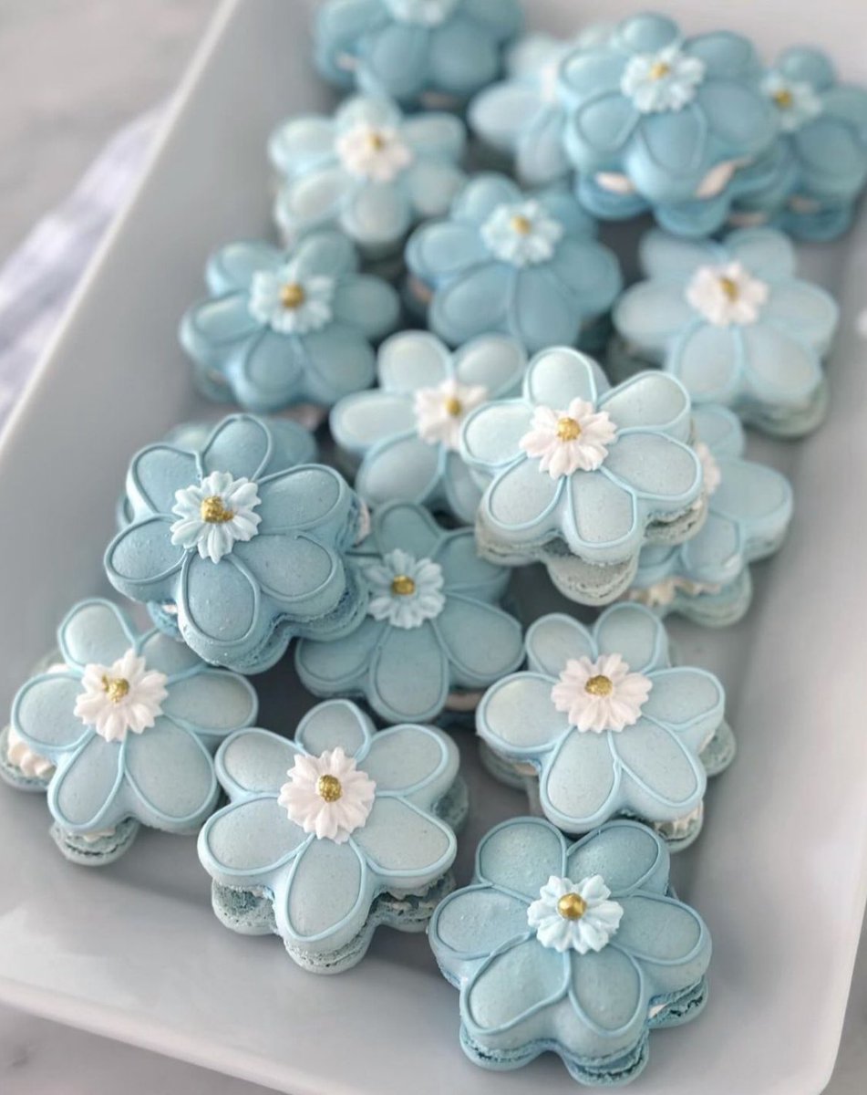 Elle Lookbook tweet media