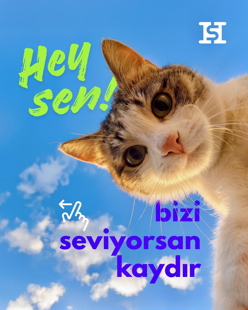 Help Steps Official tweet media