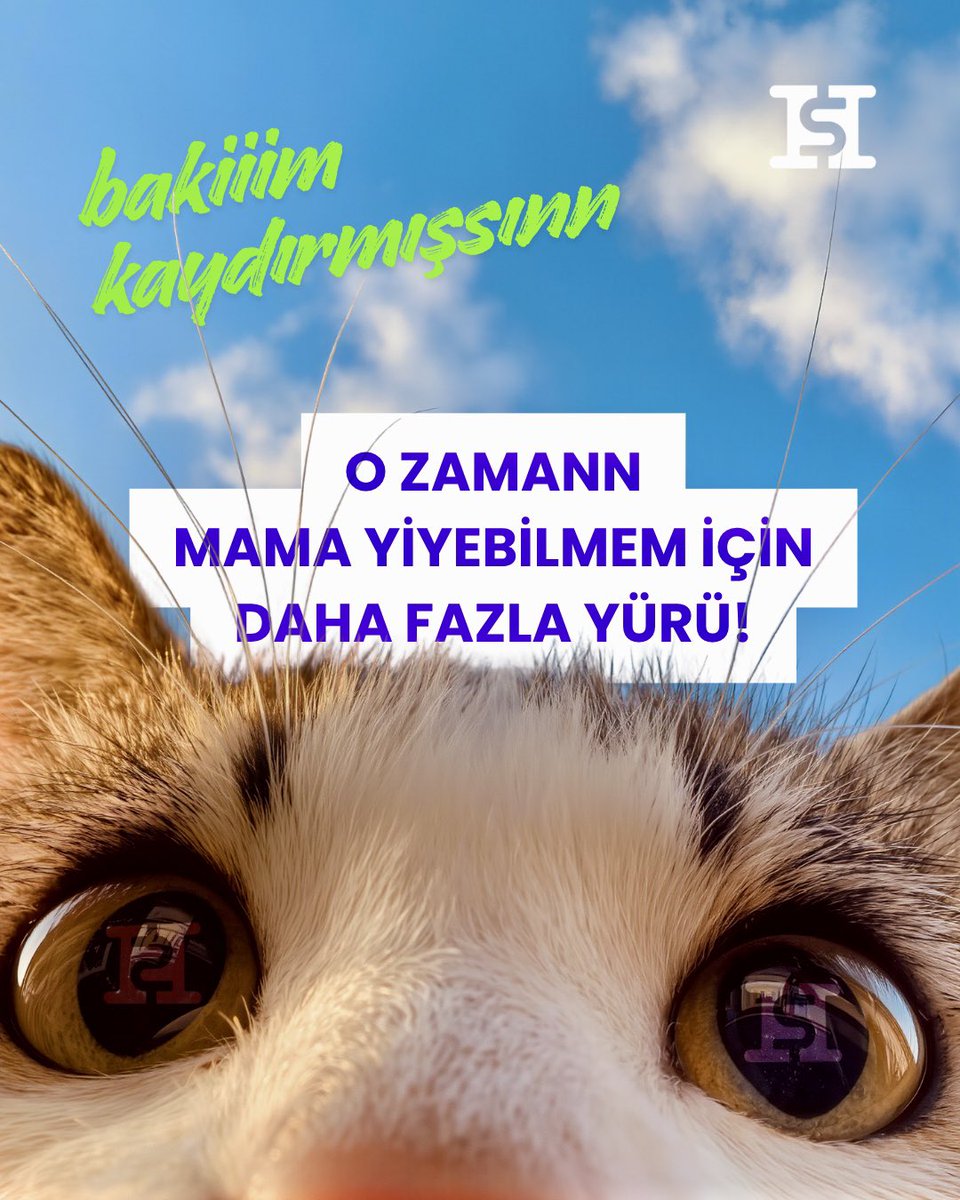 Help Steps Official tweet media