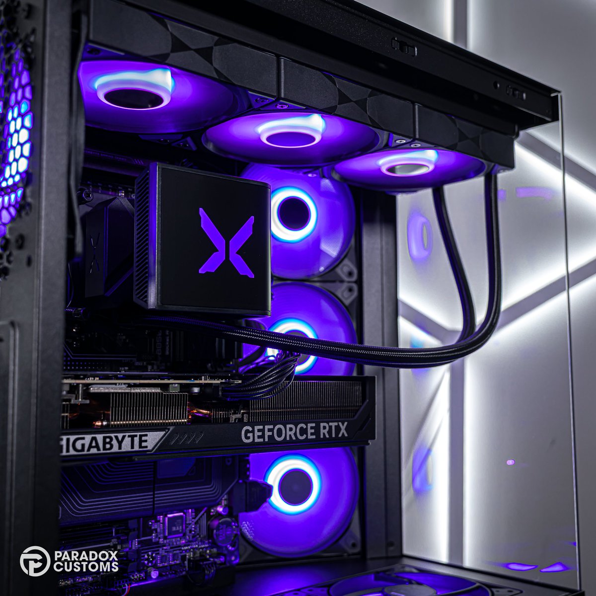 Paradox Customs tweet media