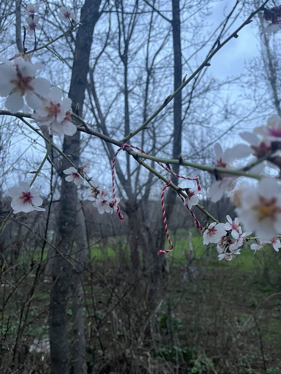 Betül ✨ tweet media