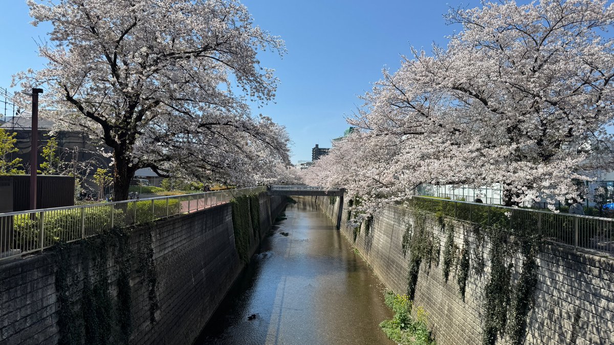 Mistilteinn🌱IndieGameDev🎮Sub tweet media