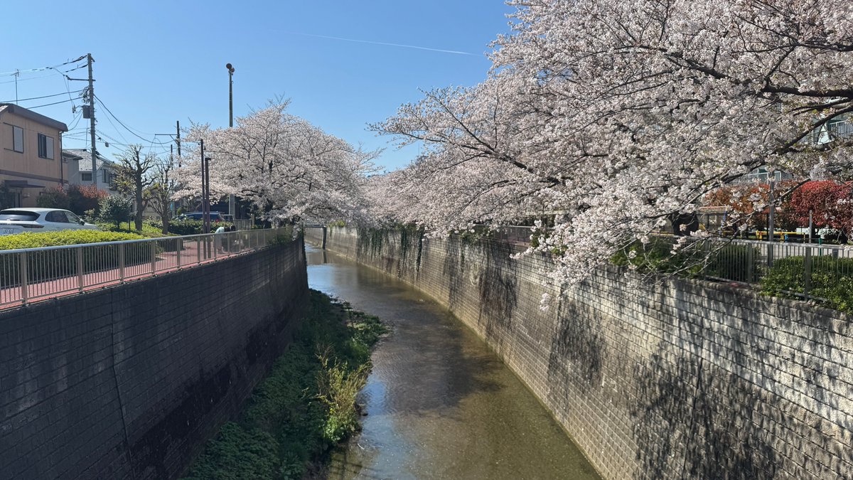 Mistilteinn🌱IndieGameDev🎮Sub tweet media