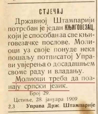 Вучко Курјачки tweet media