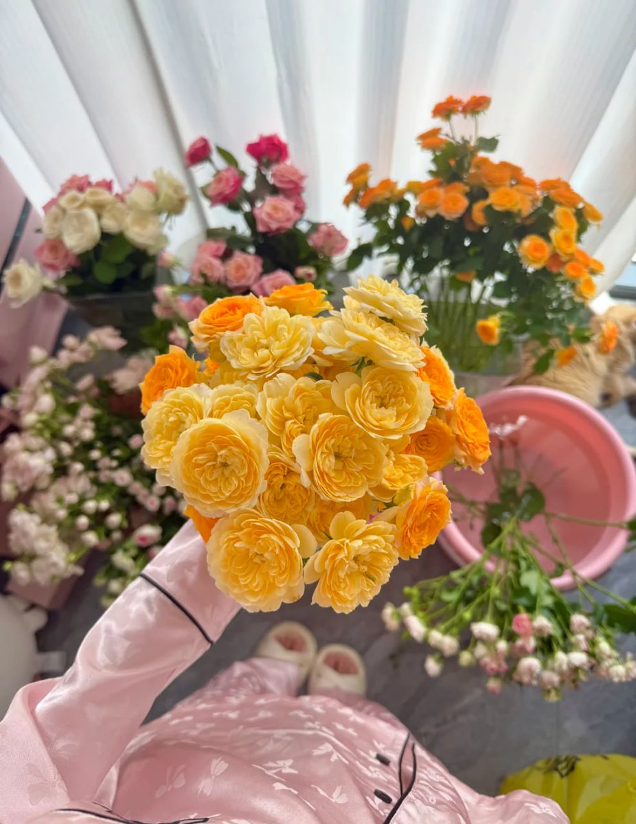 sirsqurilsgirl's tweet image. Flower chaos in my kitchen sink! From sunny mimosa to blush peonies spring just bloomed here. 🌼What’s your go-to flower? #HomeFlorist #PinkAndYellow
