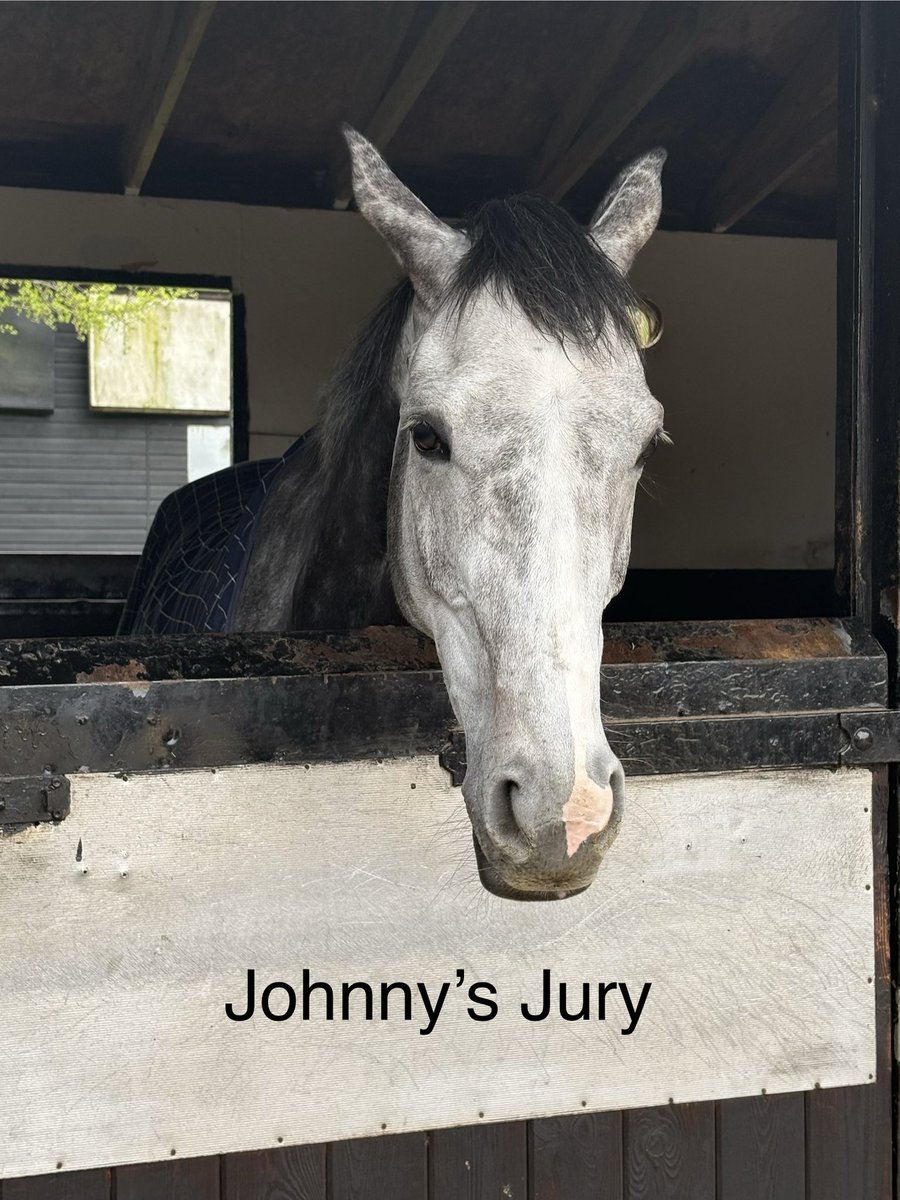 shaun handy tweet media