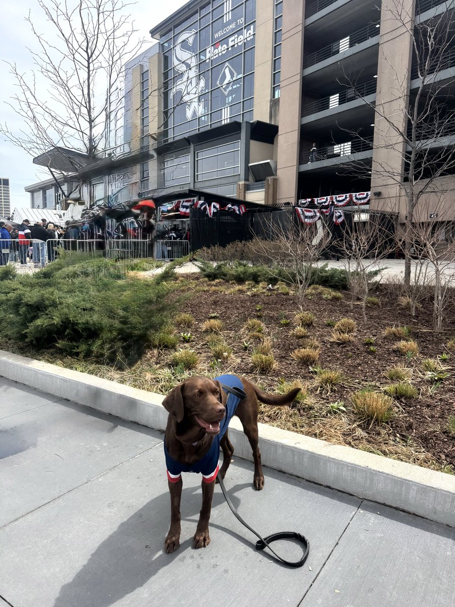 CPDTransit's tweet photo. Beautiful weather for Opening Day! Public Transportation Section Canine Officers on patrol around Guaranteed Rate Field. Go Sox! https://t.co/MG8PYaAgSx