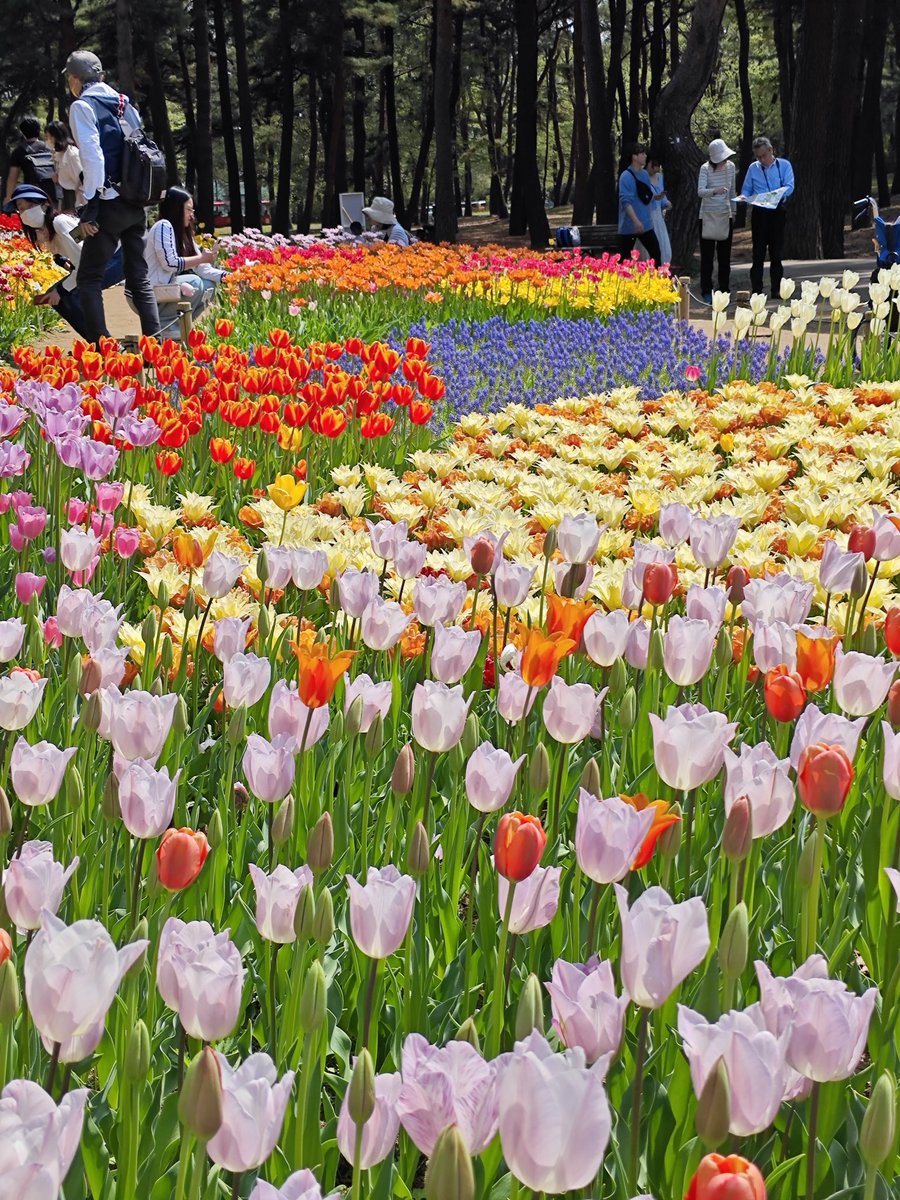 黒猫探偵まめ(まてぃーにゃ)@ハギオス🐦 tweet media