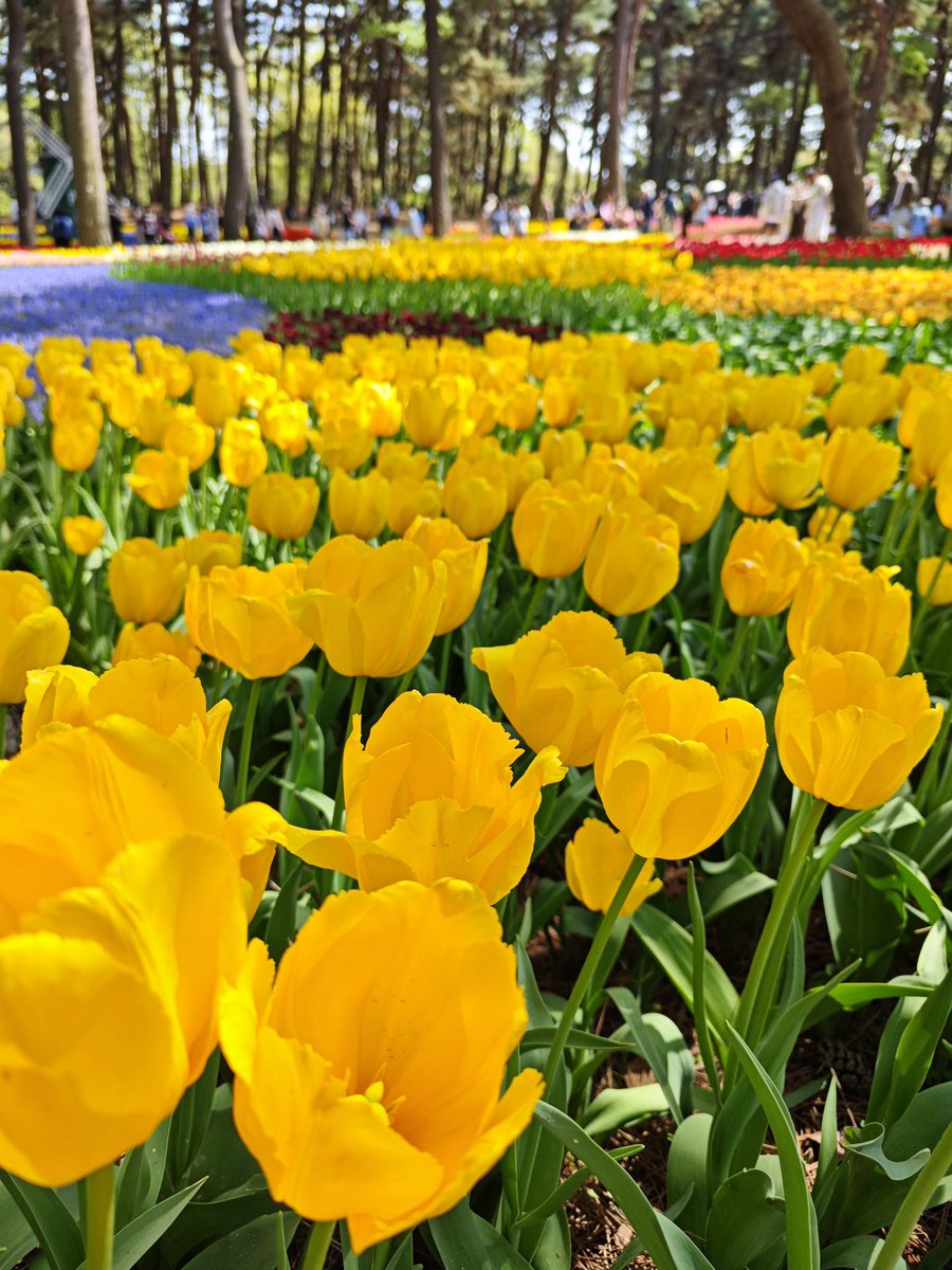 黒猫探偵まめ(まてぃーにゃ)@ハギオス🐦 tweet media