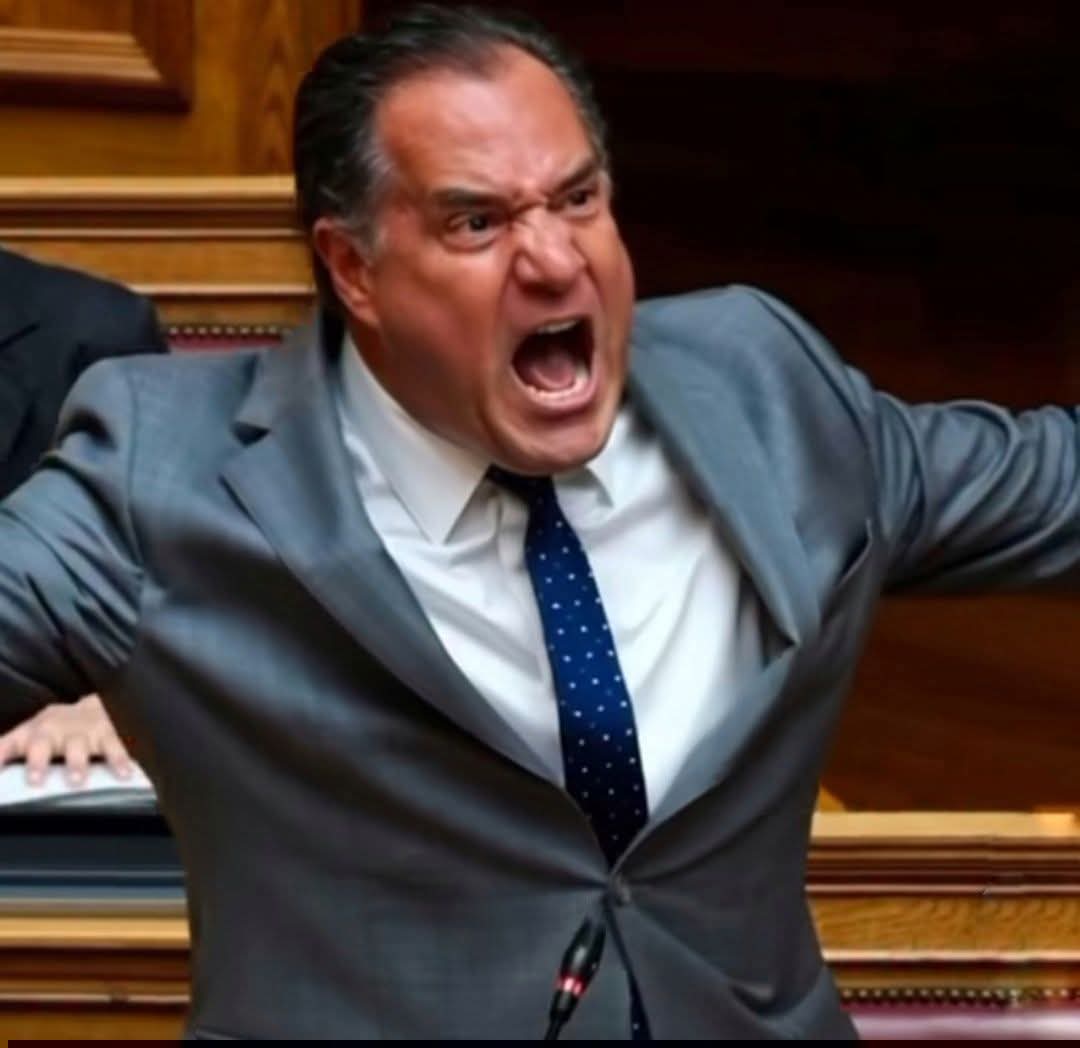 Μπριζίτε Μακρόνε tweet media