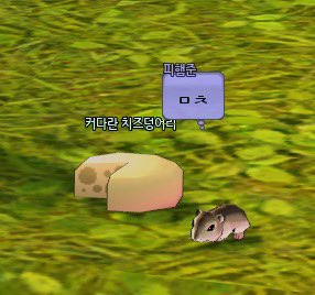 교강임 tweet media