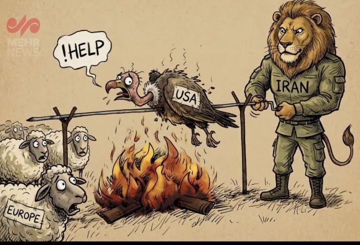 Mfana Nkosi tweet media