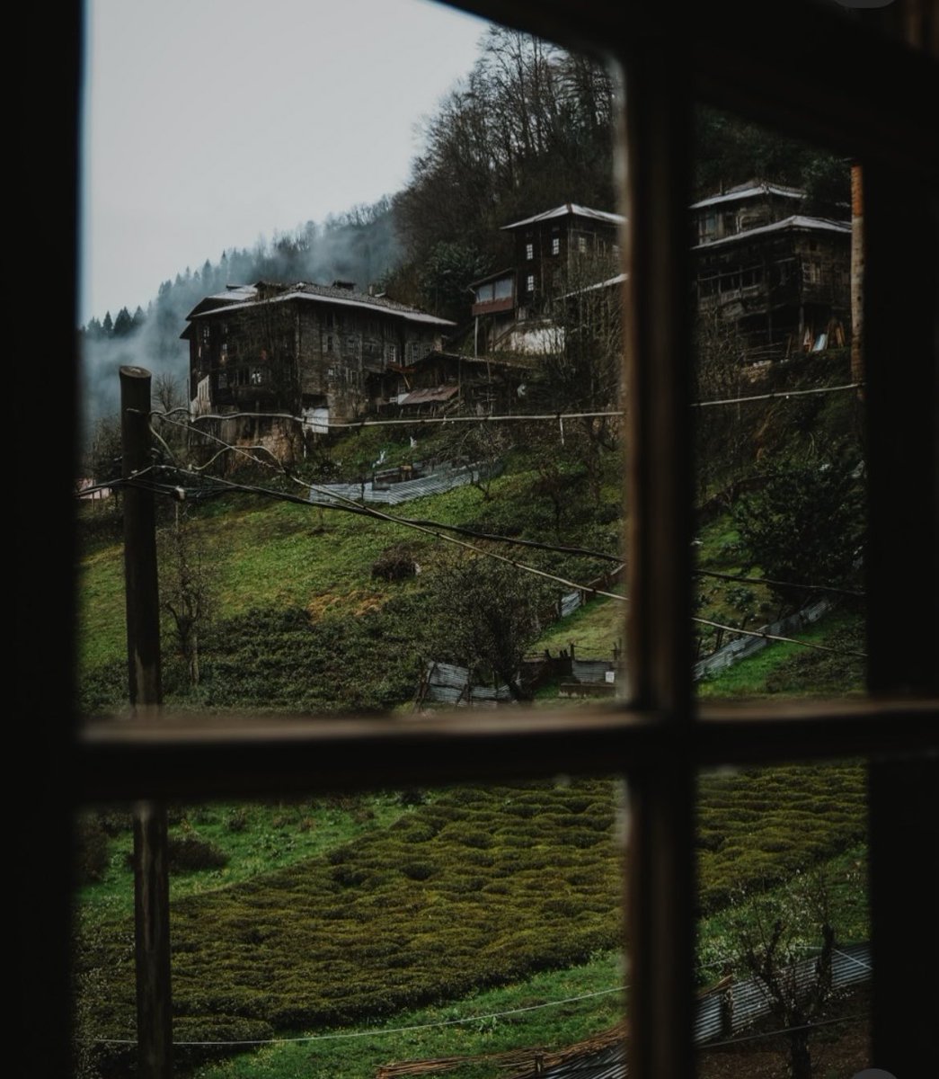 nocontextkrdniz's tweet photo. 📍Rize Çamlıhemşin

Yağan yağmur ardından çöken sis ve yanan kuzina ateşinde çatırdayan odun sesi https://t.co/hgnAOowTiQ