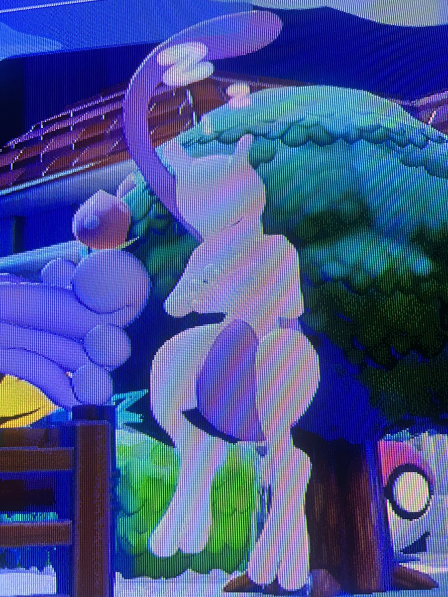 Gurt𓆩✧︎𓆪 tweet media