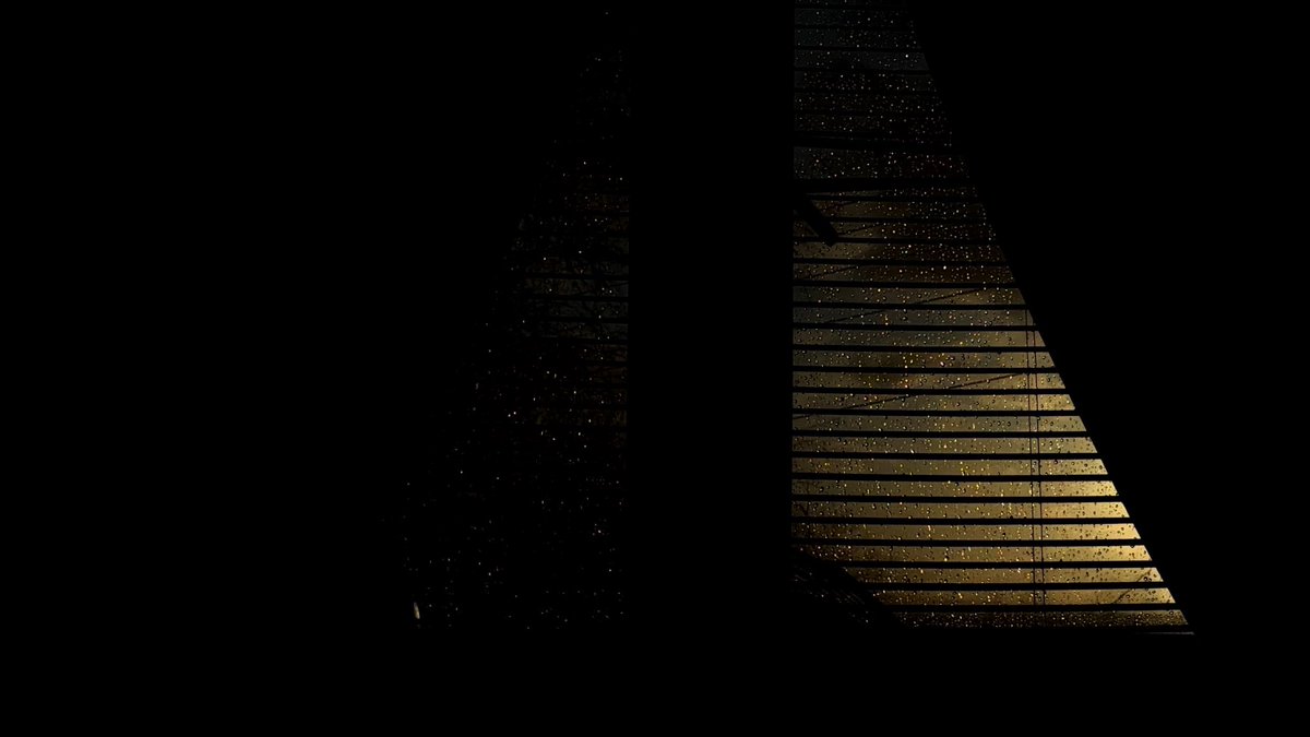 Caroline★ tweet media