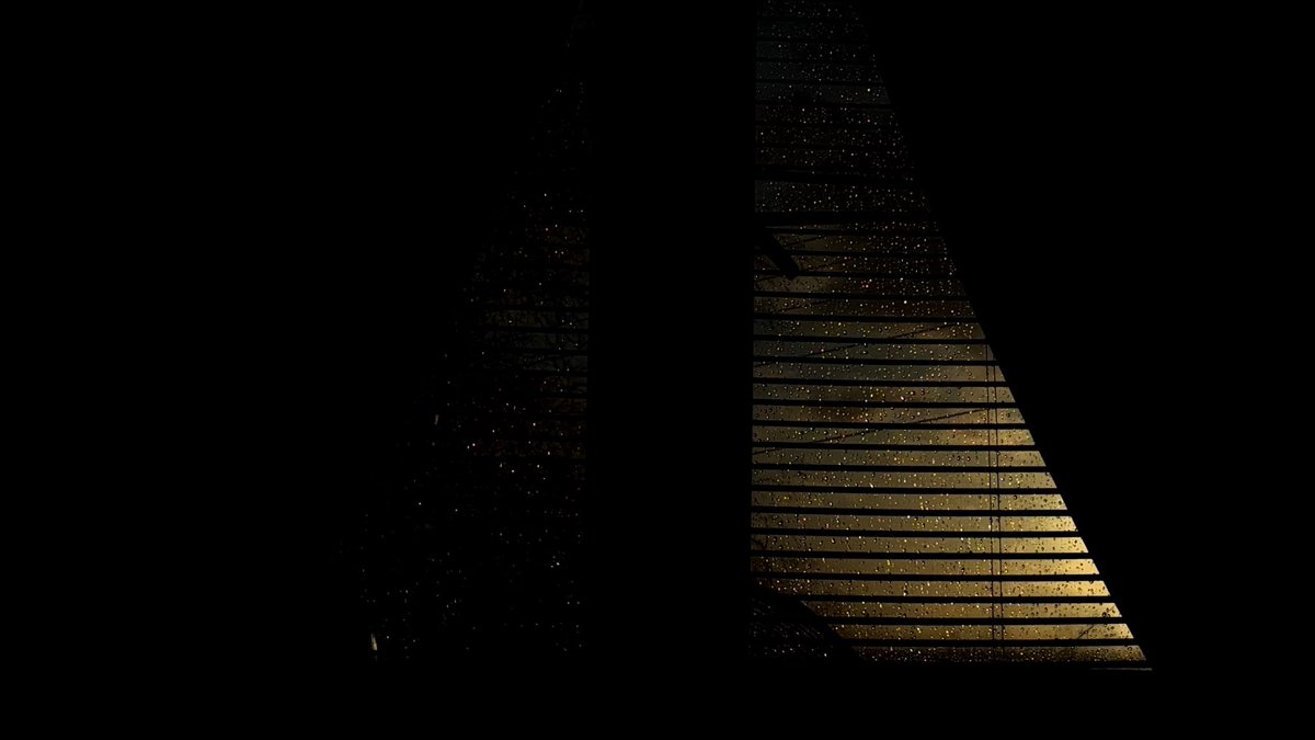 Caroline★ tweet media