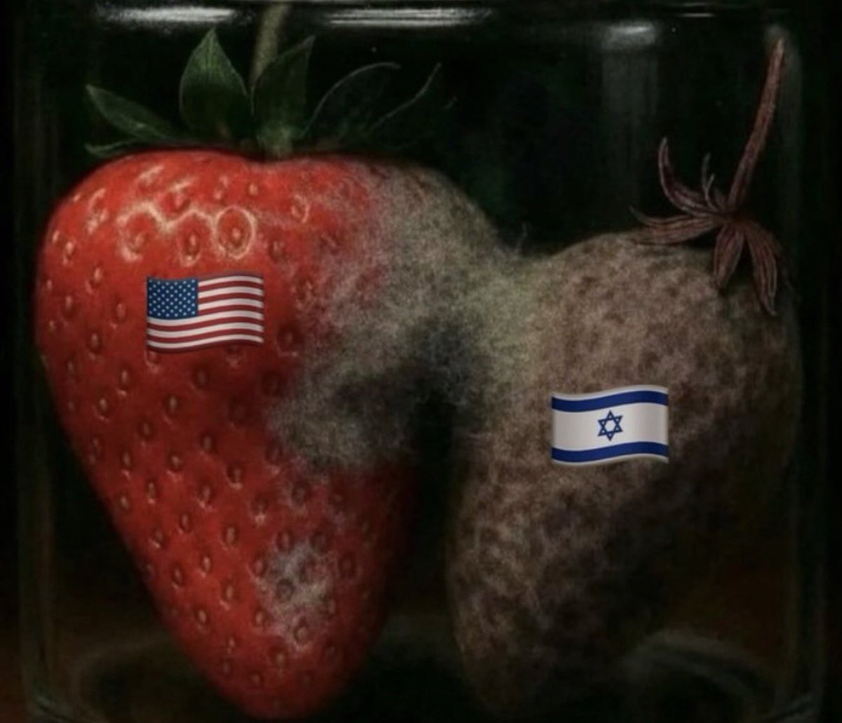 Scott J. Cook tweet media