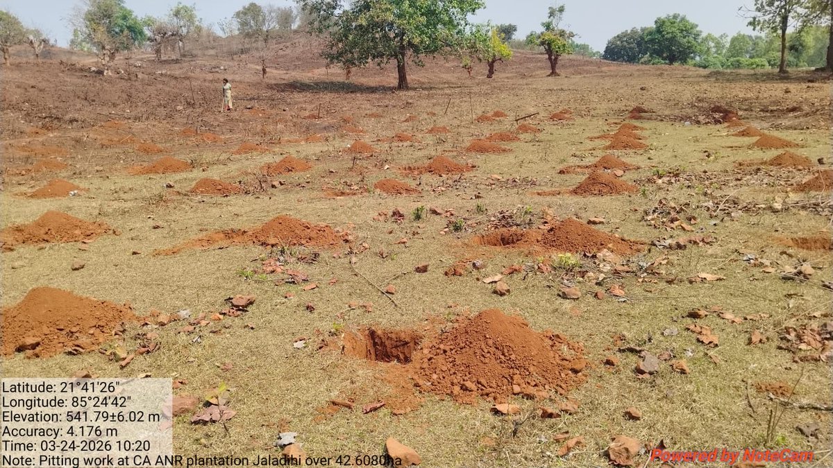 Divisional Forest Officer, Keonjhar (T) tweet media