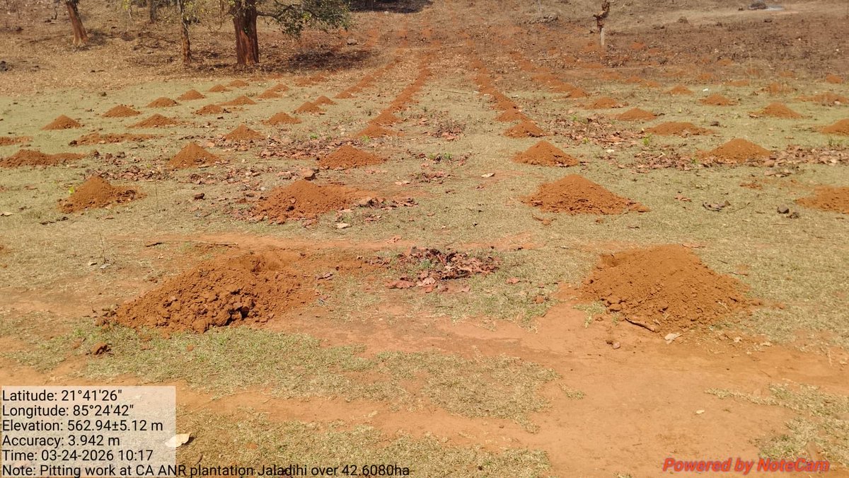 Divisional Forest Officer, Keonjhar (T) tweet media