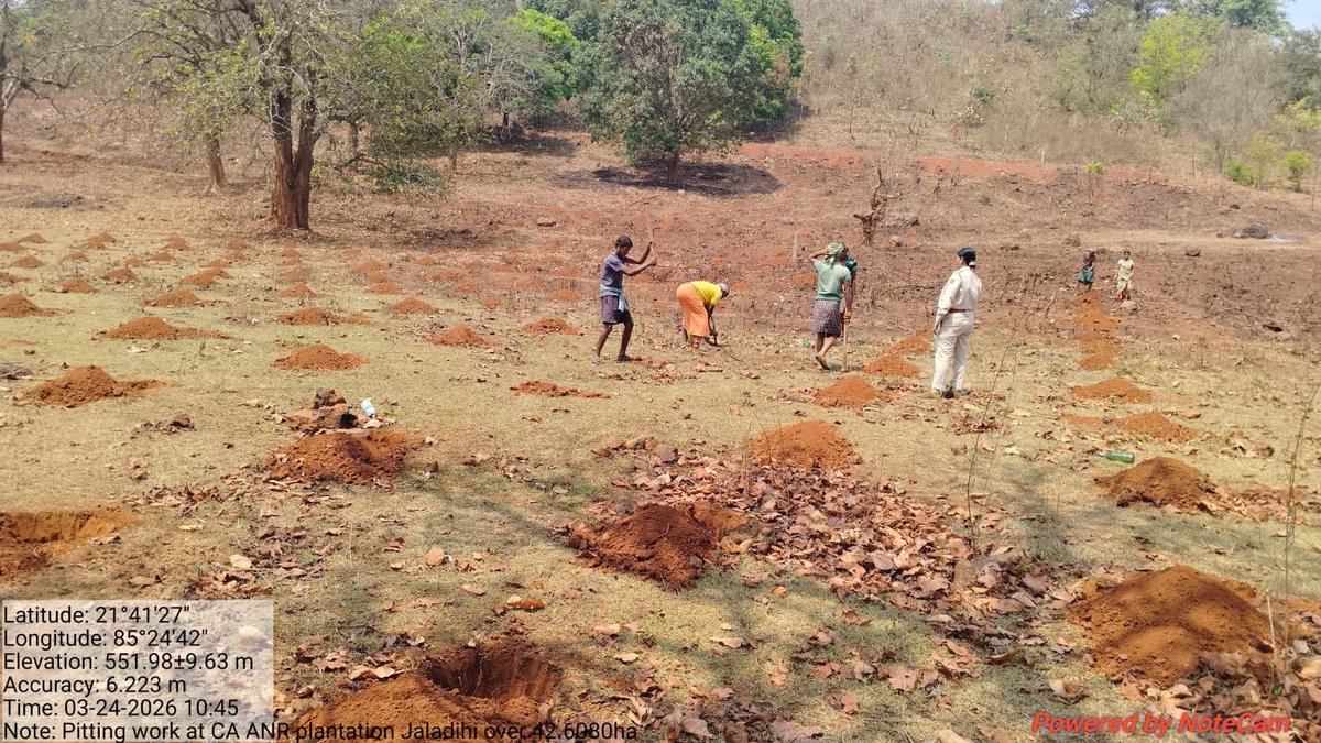 Divisional Forest Officer, Keonjhar (T) tweet media