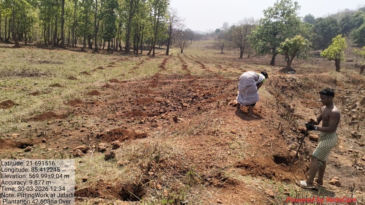 Divisional Forest Officer, Keonjhar (T) tweet media