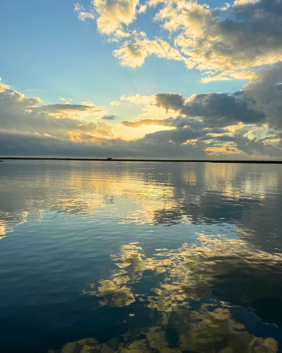 CCA Texas tweet media