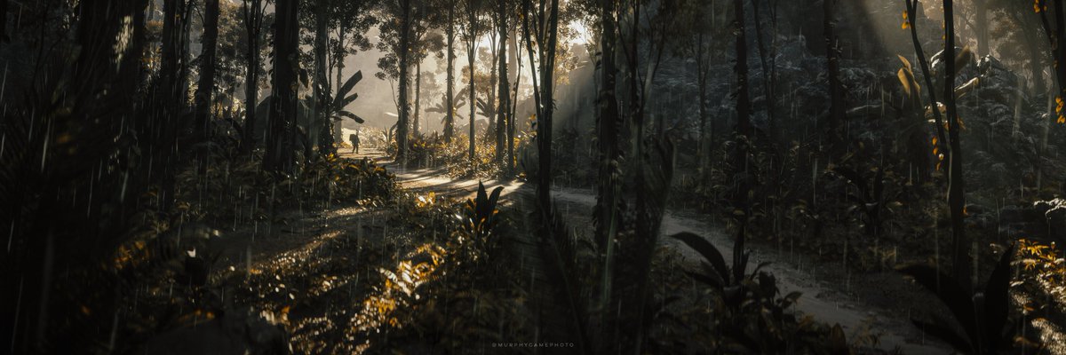 MurphyVP tweet media