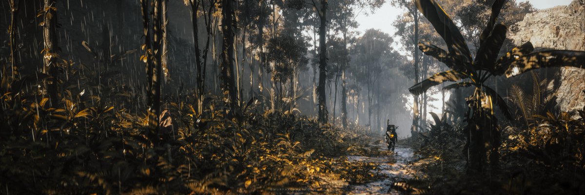 MurphyVP tweet media