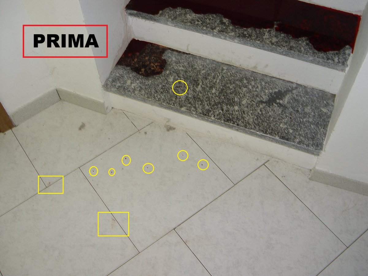 Luigi Grimaldi 🏊 tweet media