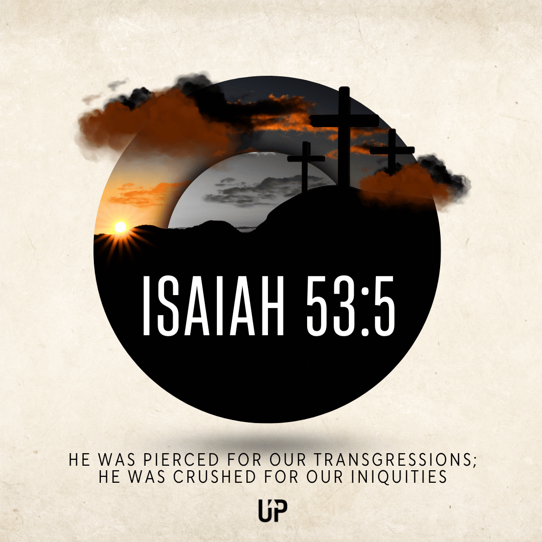 Matthew Ruttan tweet media