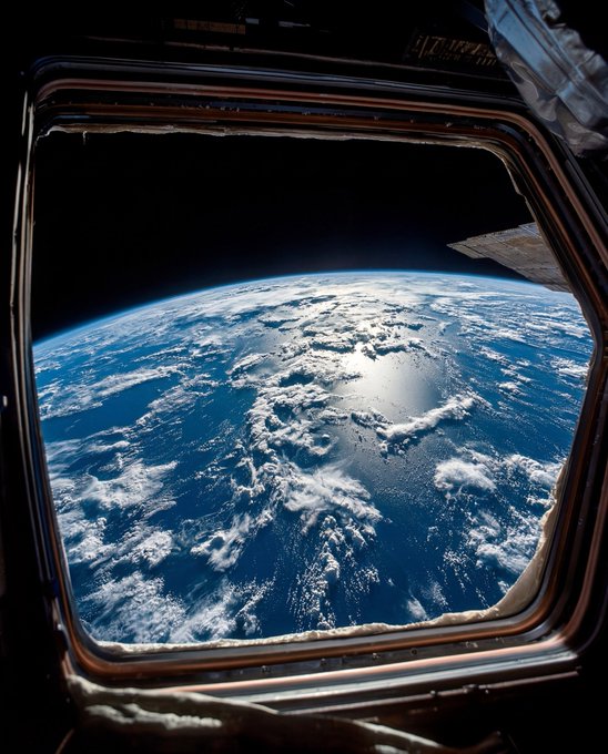 Andrew Nisćior Sr🇺🇸 tweet media