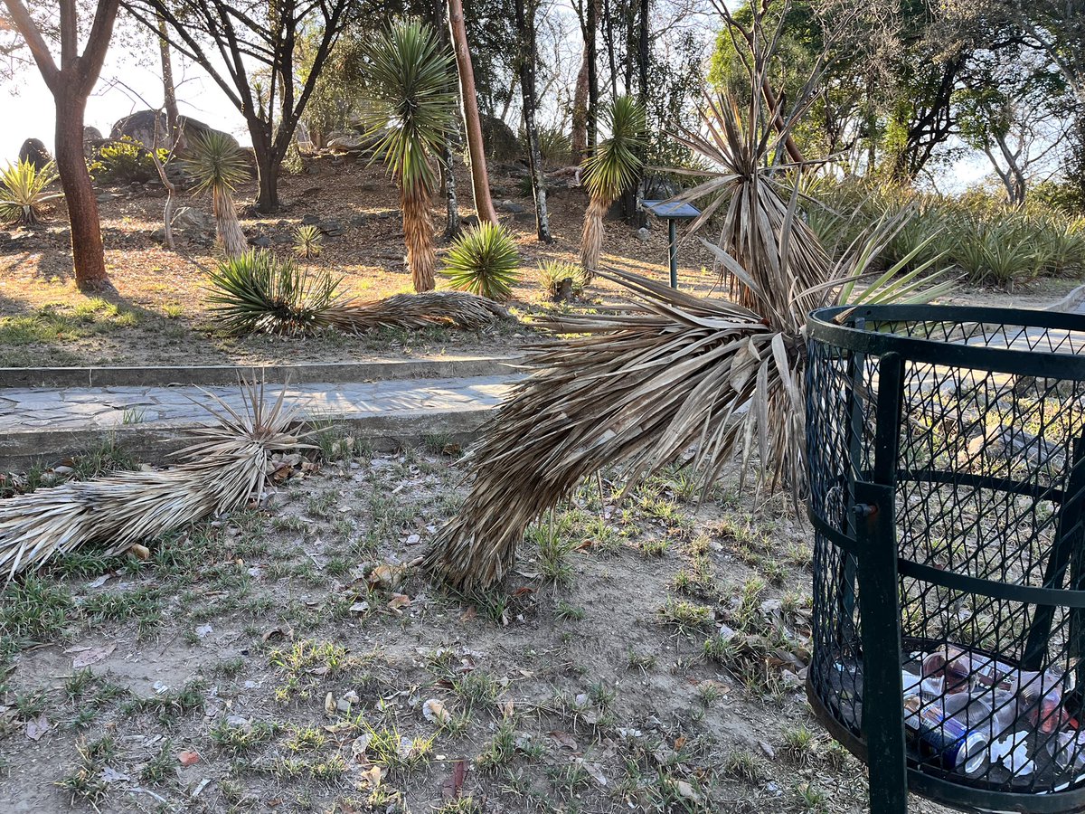 Maria Gabriela Escovar tweet media