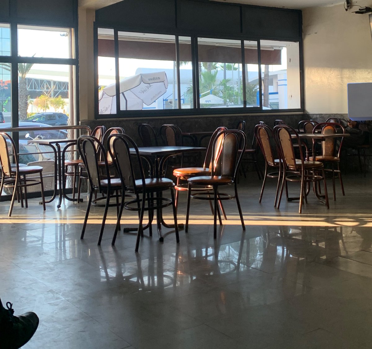 leila 🪷 tweet media