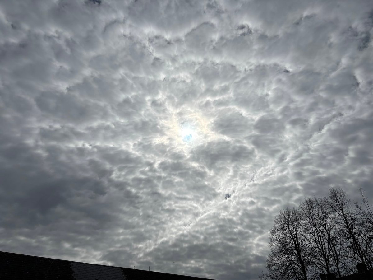 BassCabbieMan 🏴󠁧󠁢󠁥󠁮󠁧󠁿 🇬🇧 🇺🇸 tweet media