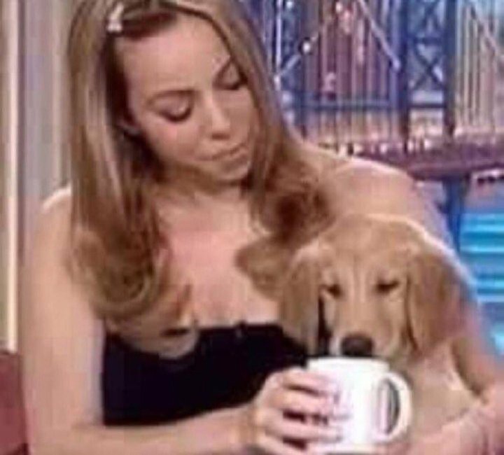 luiza tweet media