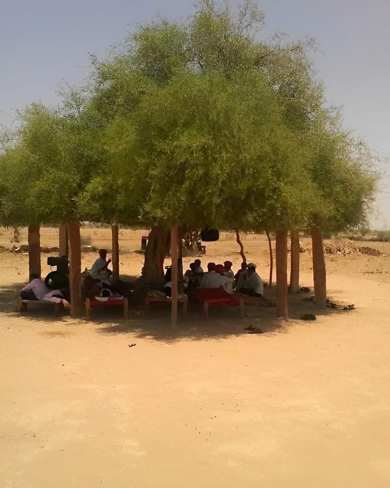 Typical African tweet media